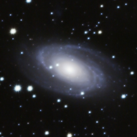 Meet your Posher, Scott - Picture 1 of 1